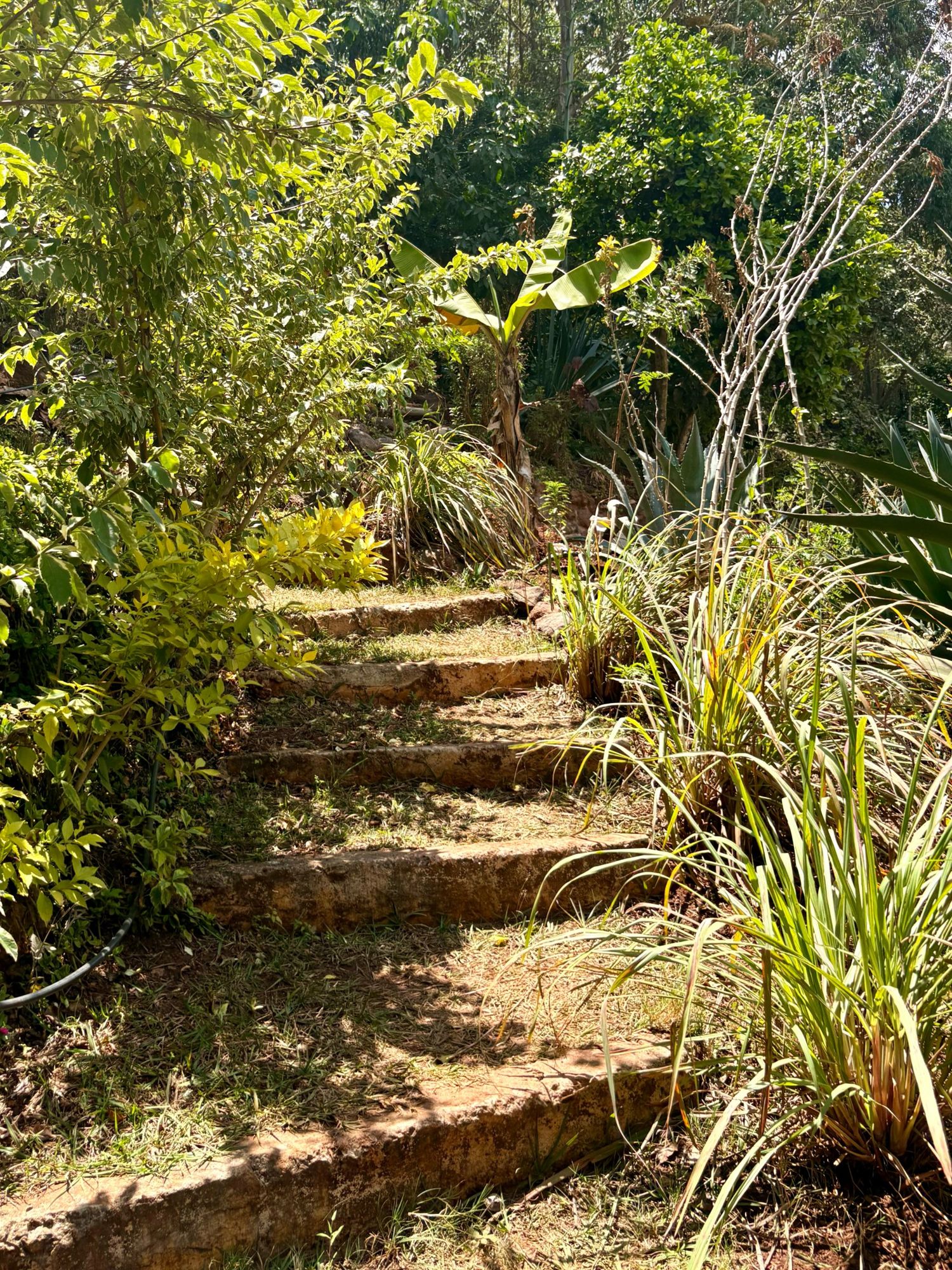 Gartenweg mit Stufen